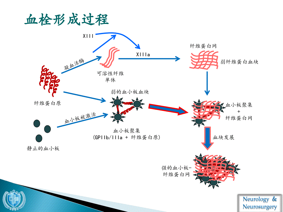 抗血小板药物使用_第4页