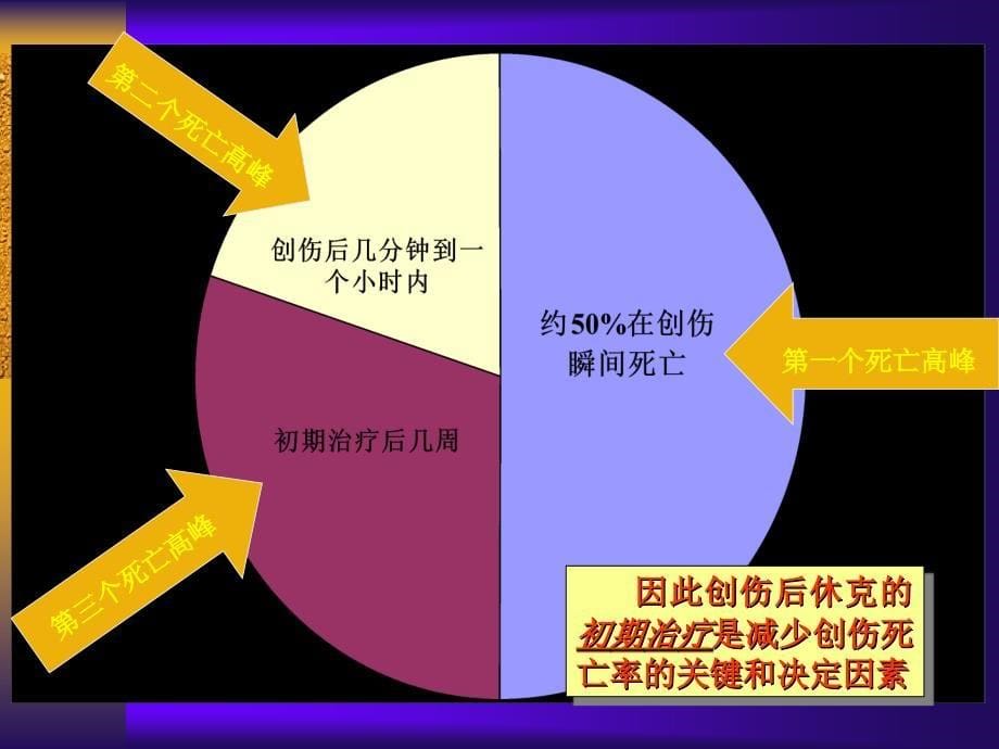 创伤性休克篇_第5页