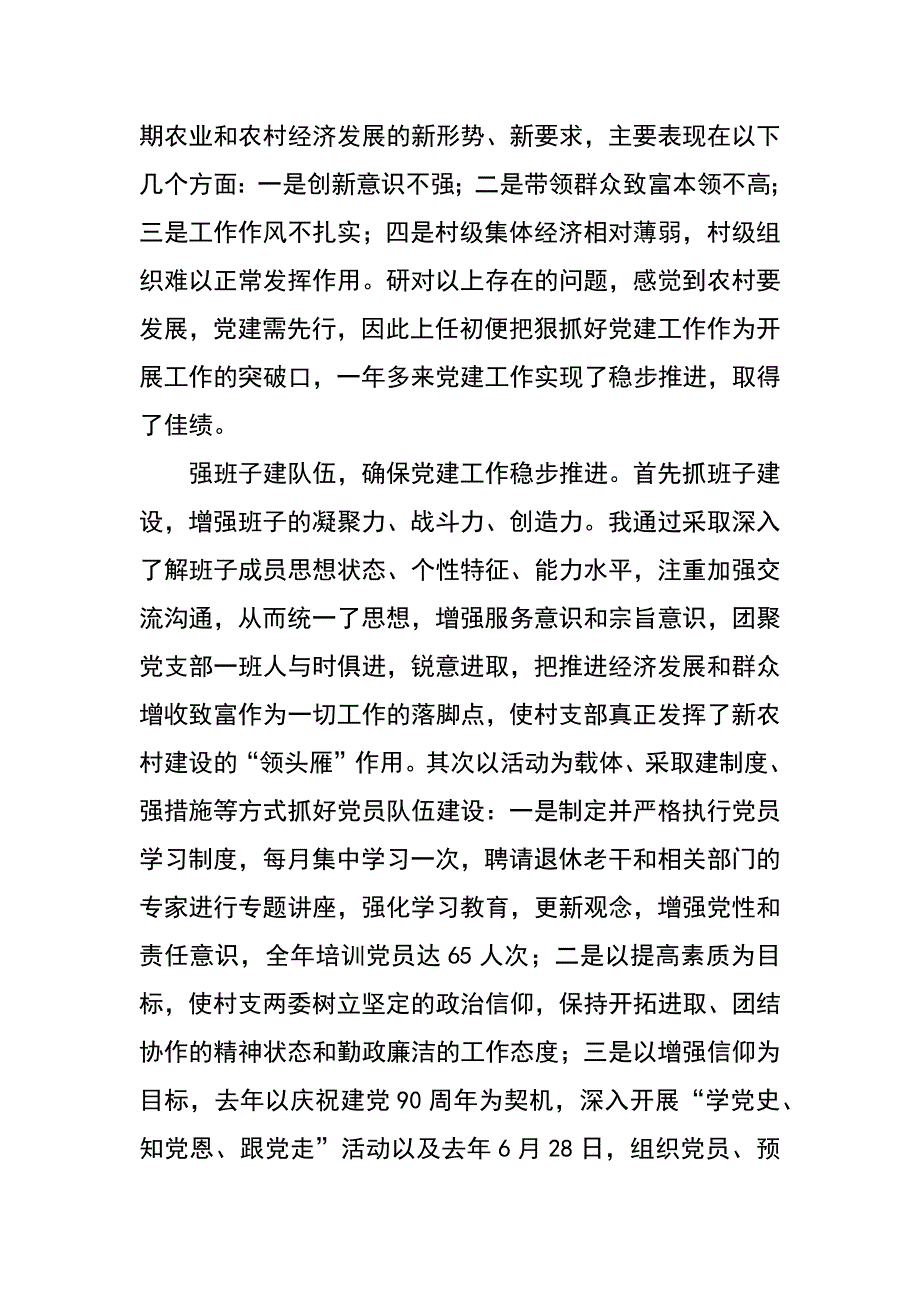 第一村支部书记工作汇报材料_第2页