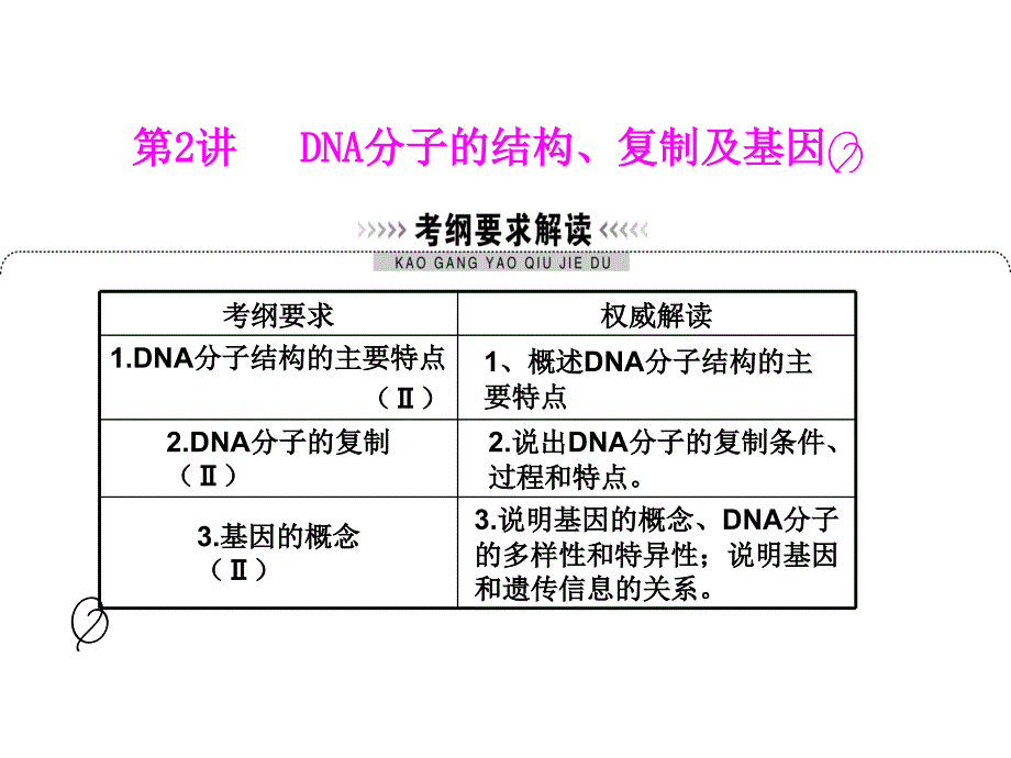 DNA分子的结构_第2页