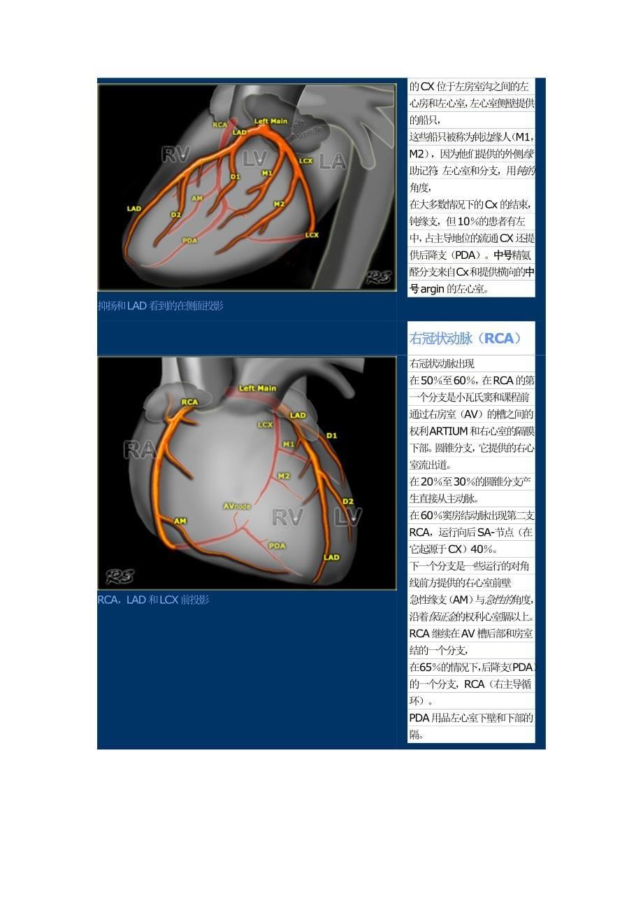 冠状动脉解剖和异常_第5页