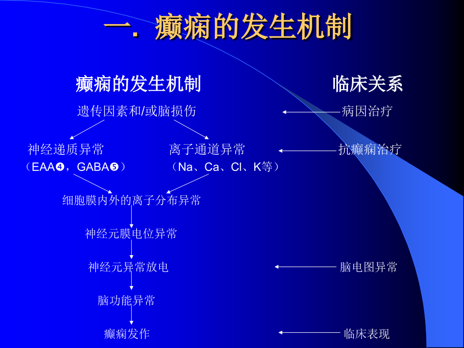 抗癫痫治疗药物_第2页