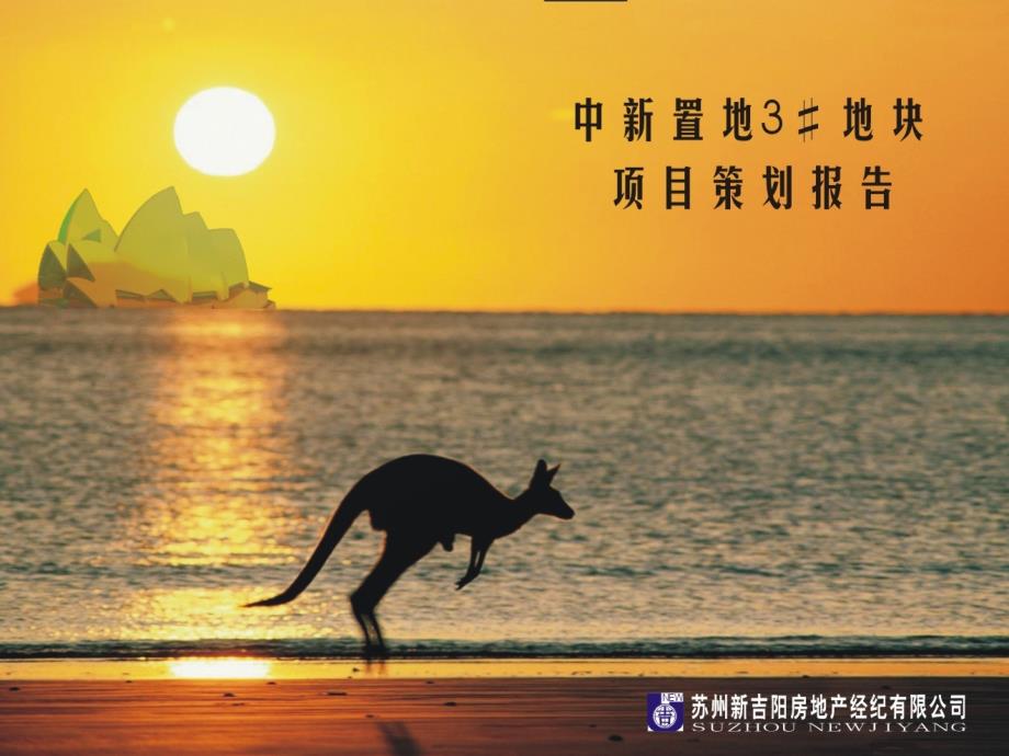 苏州市中新置地3#地块项目策划报告_第1页