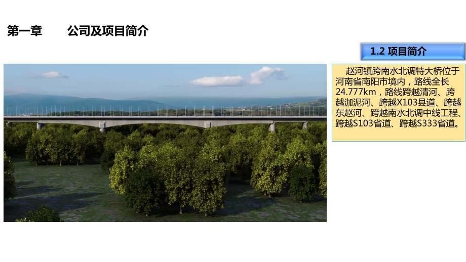 BIM技术在郑万铁路赵河镇跨南水北调特大桥施工中的综合应用_第5页