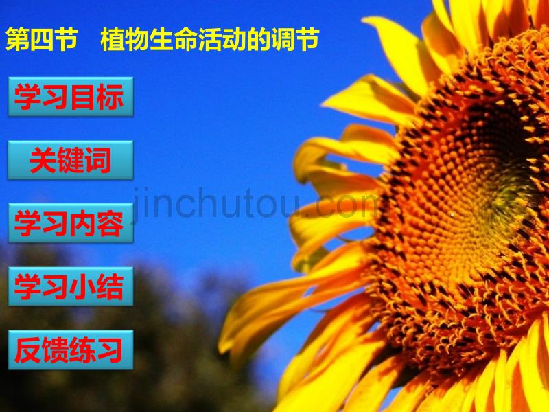 苏教版教学课件植物生命活动的调节(苏教版)_第1页