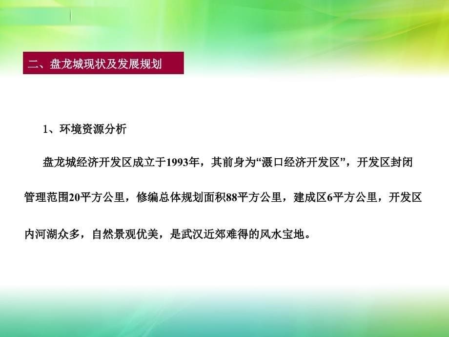 盘龙城产业园市场调研报告_第5页