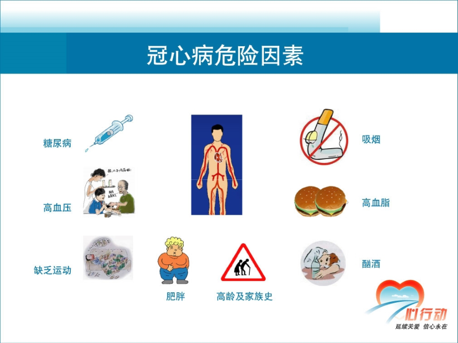 循环系统用药_第3页