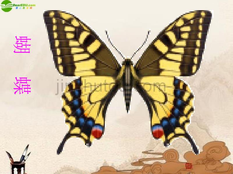 二年级美术上册 美丽的昆虫课件 湘美版_第5页
