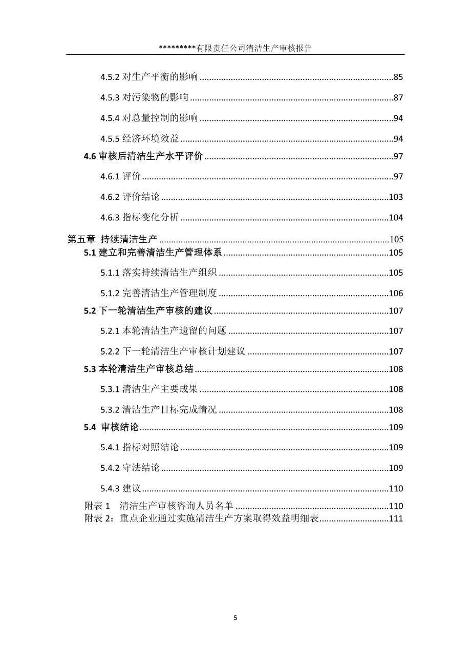 润丰公司清洁生产审核报告_第5页