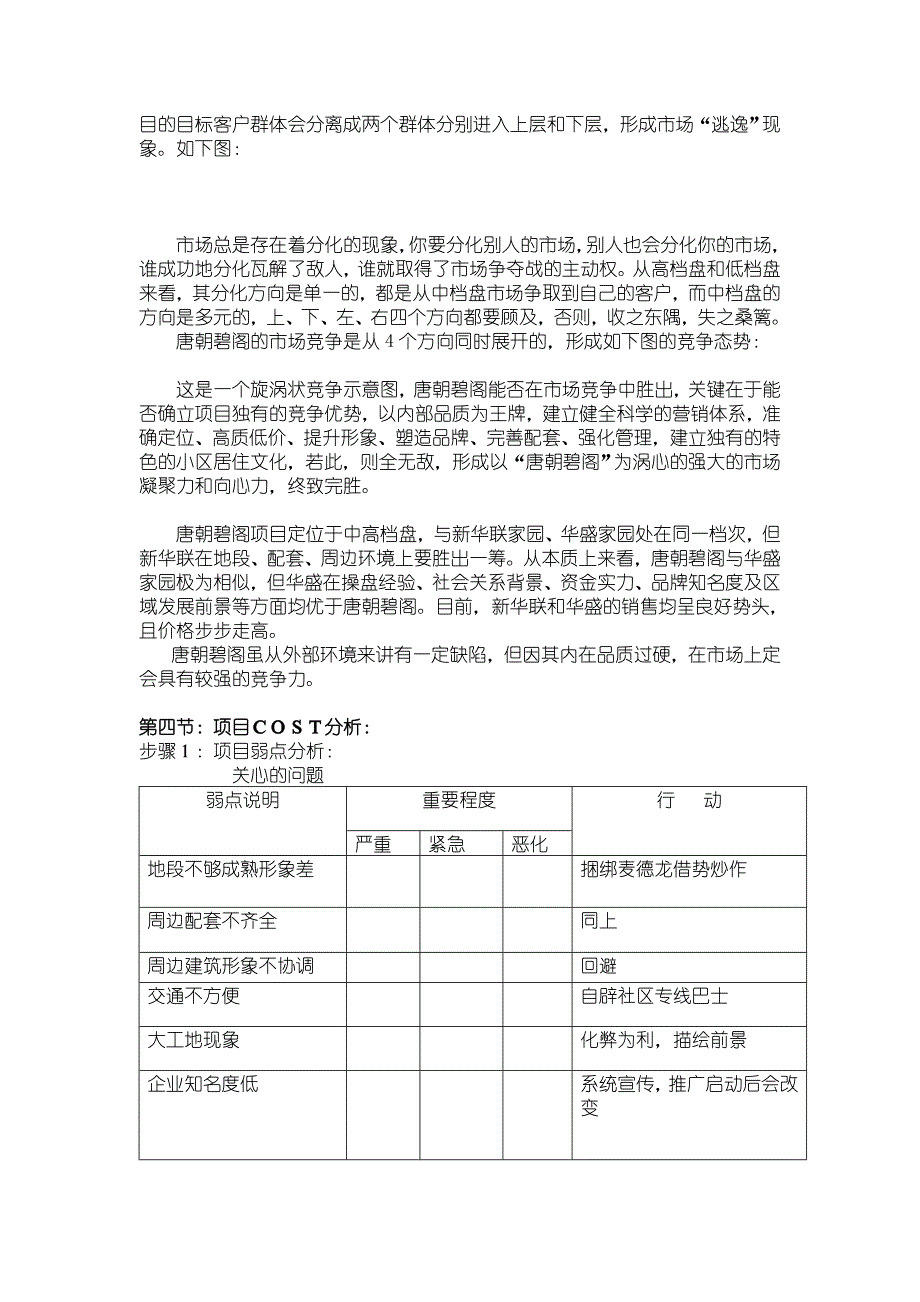 碧阁品牌战略策划全案报告书_第4页