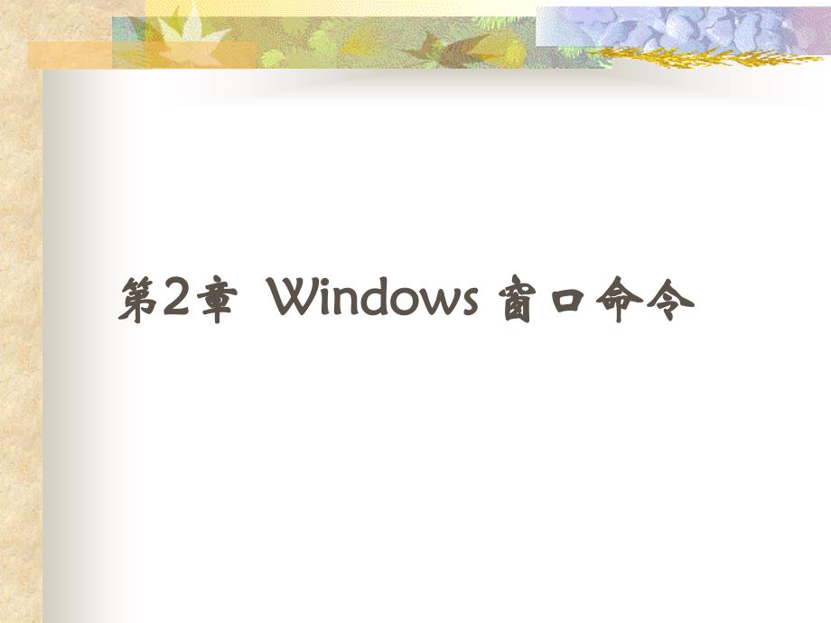 第2章Windows窗口命令_第1页