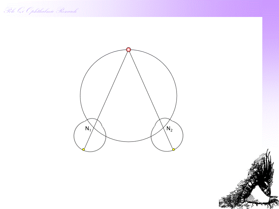 双眼的注视差异_第3页