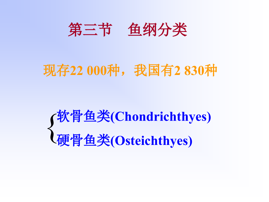16鱼纲分类 备用_第1页