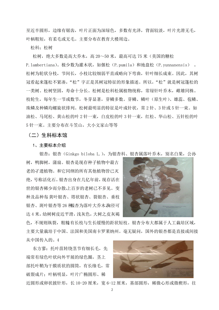 植物的多样性调查与分析报告_第4页