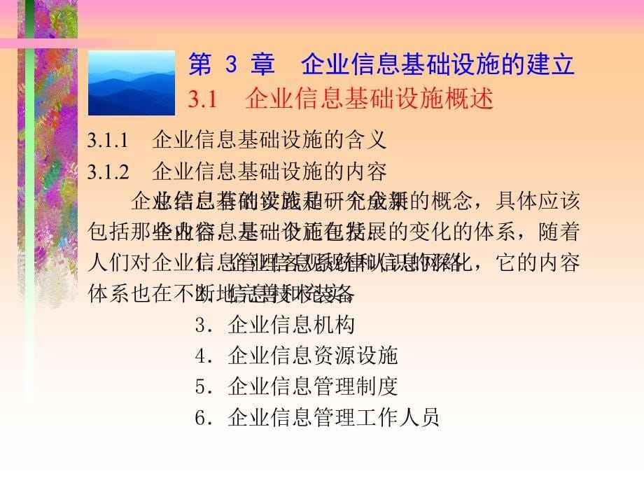 第3章 企业信息基础设施的建立_第5页