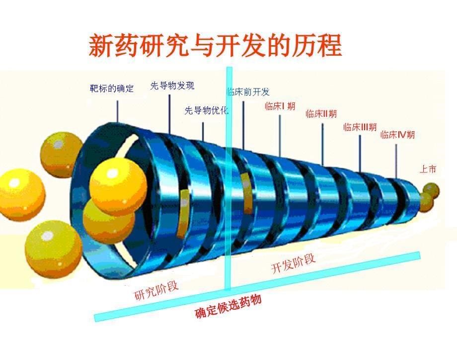 先导化合物的优化与候选药物的确定_第5页