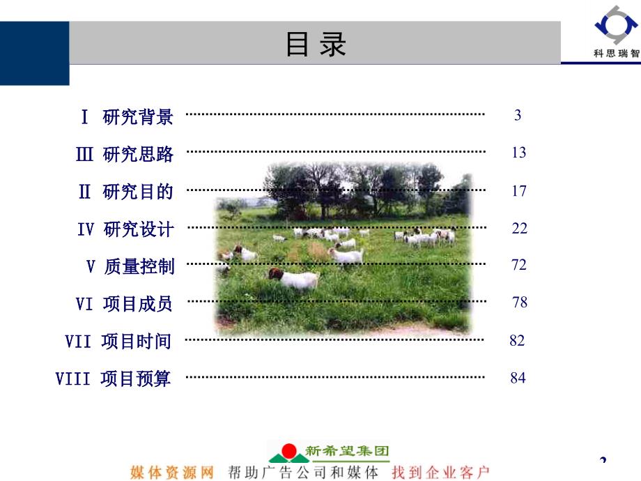 科思睿智-新希望乳业品牌规划咨询建议书_第2页