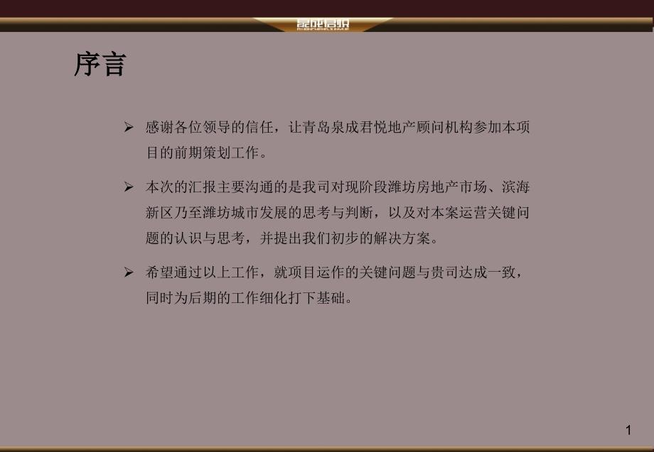 潍坊宜海置业有限公司怡海锦城项目前期策划方案 新_第2页