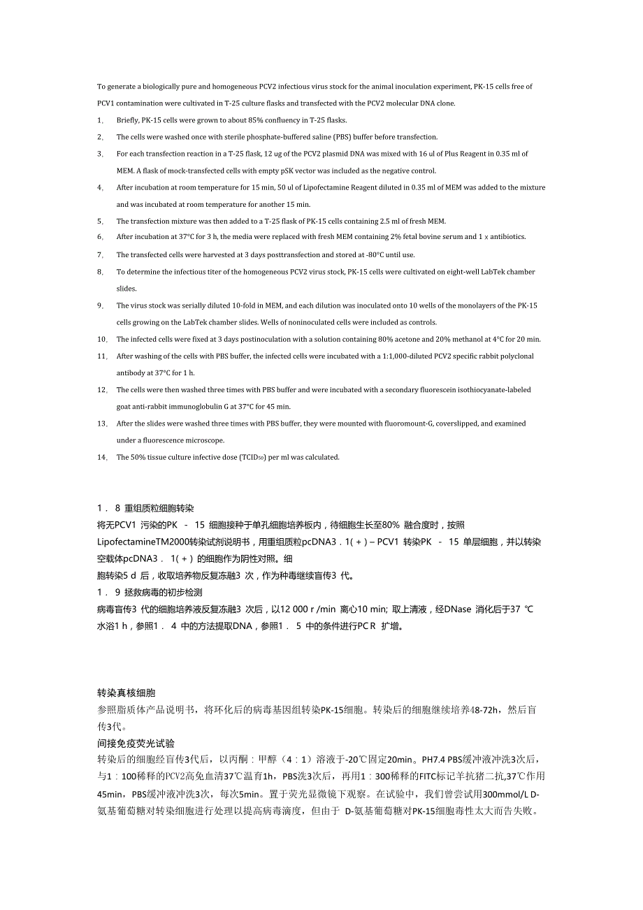 pcv infectious clone transfection_第1页