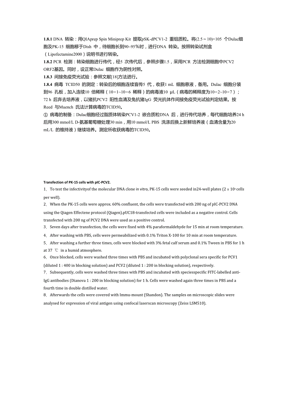 pcv infectious clone transfection_第2页