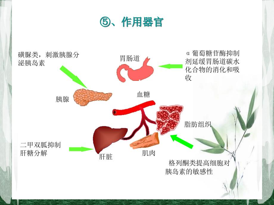 糖尿病用药护理_第4页