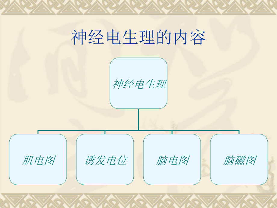 脑电图基础与临床应用_第2页