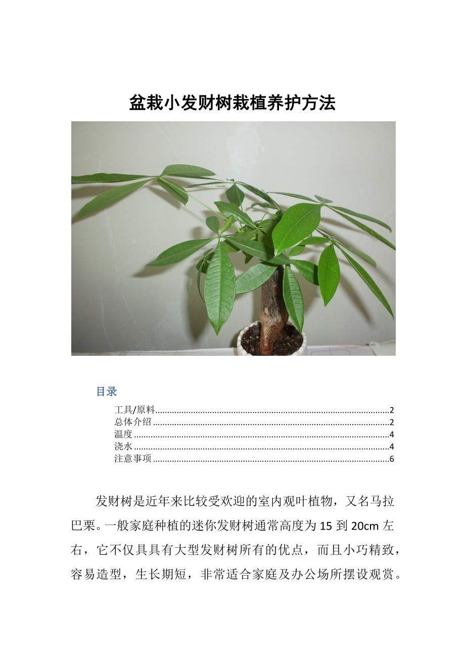 盆栽小发财树栽植养护方法_第1页
