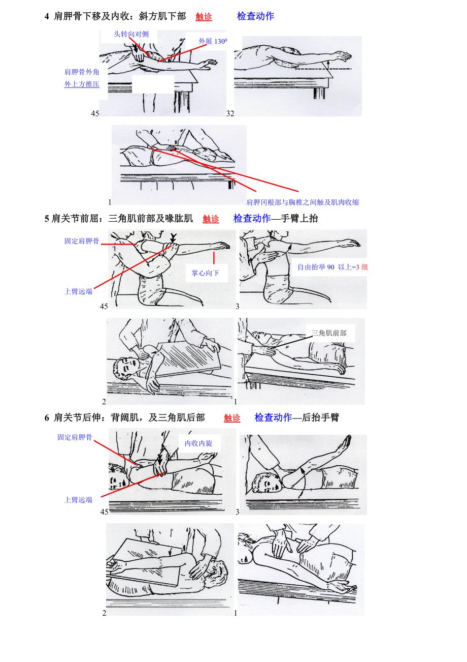 徒手肌力检查  all_第4页