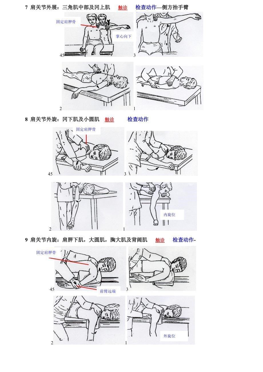 徒手肌力检查  all_第5页