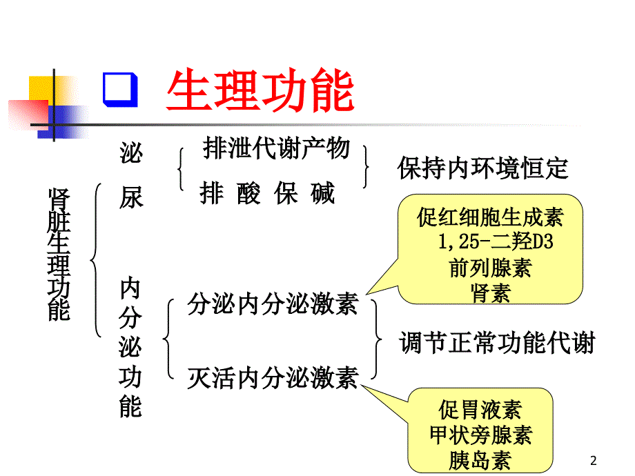 慢性肾功能不全知识介绍_第2页