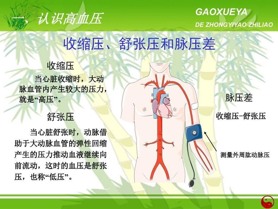 高血压中医药防治_第5页