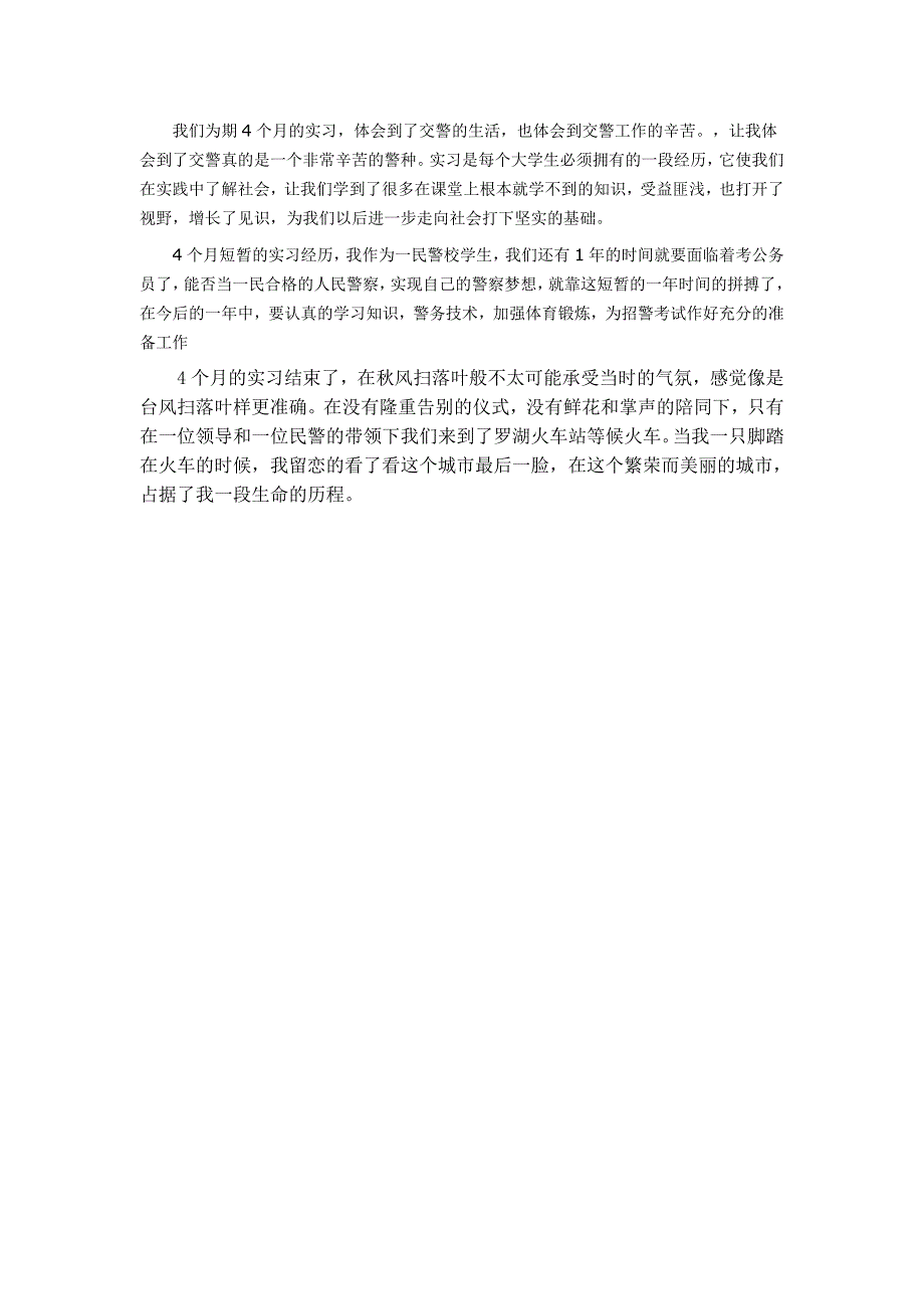 交警队实习报告_第4页