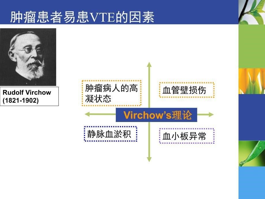 低分子肝素在肿瘤临床治疗中的运用1.PPT_第5页