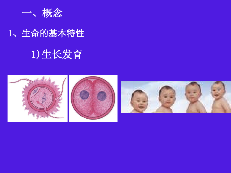 第一章结论及家畜繁殖学基础(8学时)_第4页