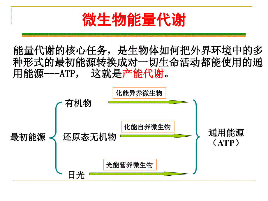 第七章微生物的能量与物质代谢_第3页