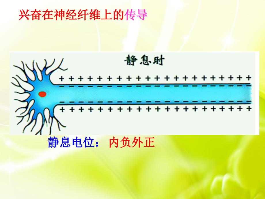 人教版必修3通过神经系统的调节_第4页