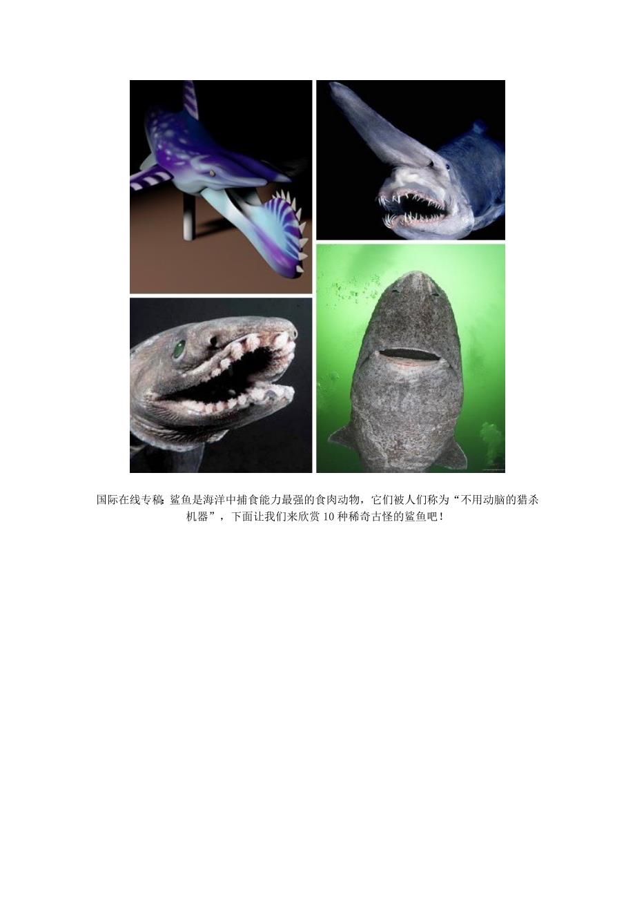 各种鲨鱼介绍及图示_第1页