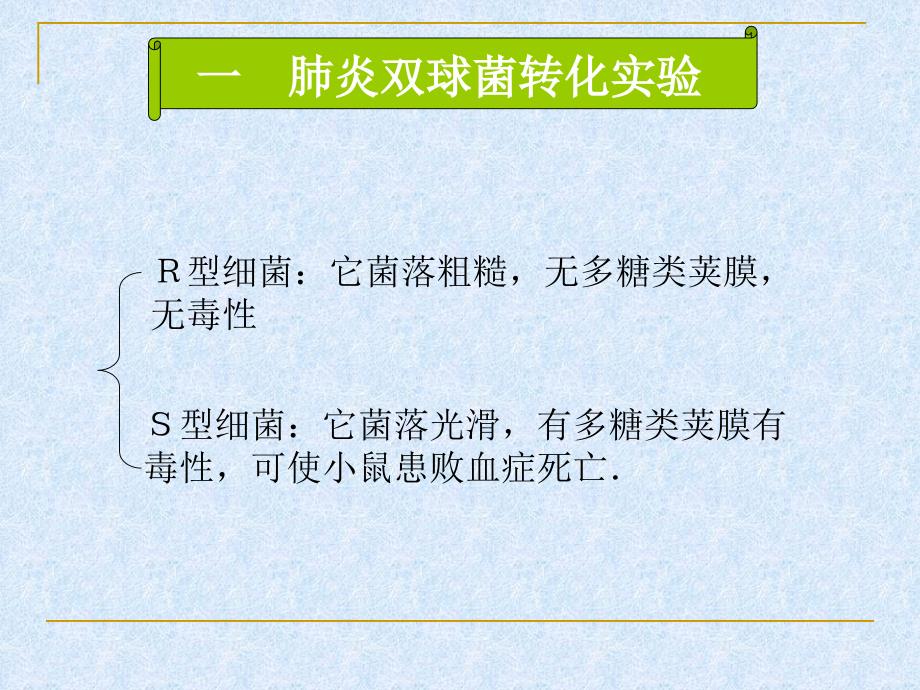 高二生物DNA是主要的遗传物质3_第2页