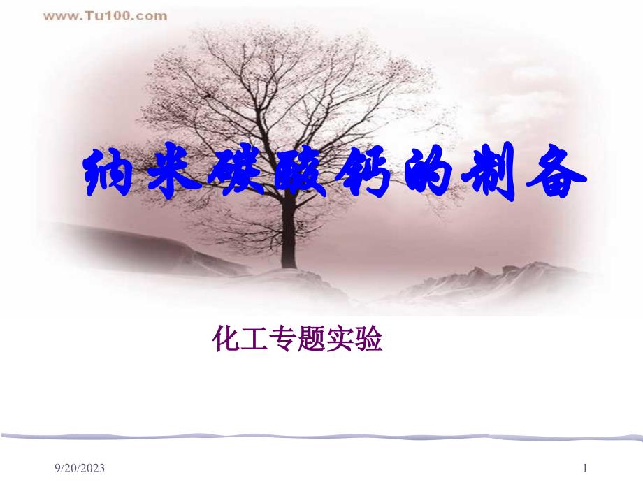纳米碳酸钙的制备_第1页