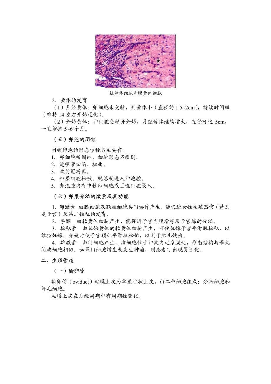 女性生殖系统(彩色带图)_第5页