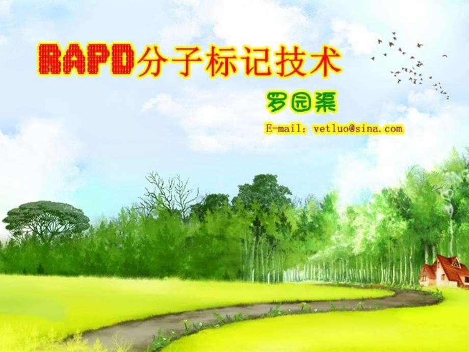 RAPD分子标记技术_第1页