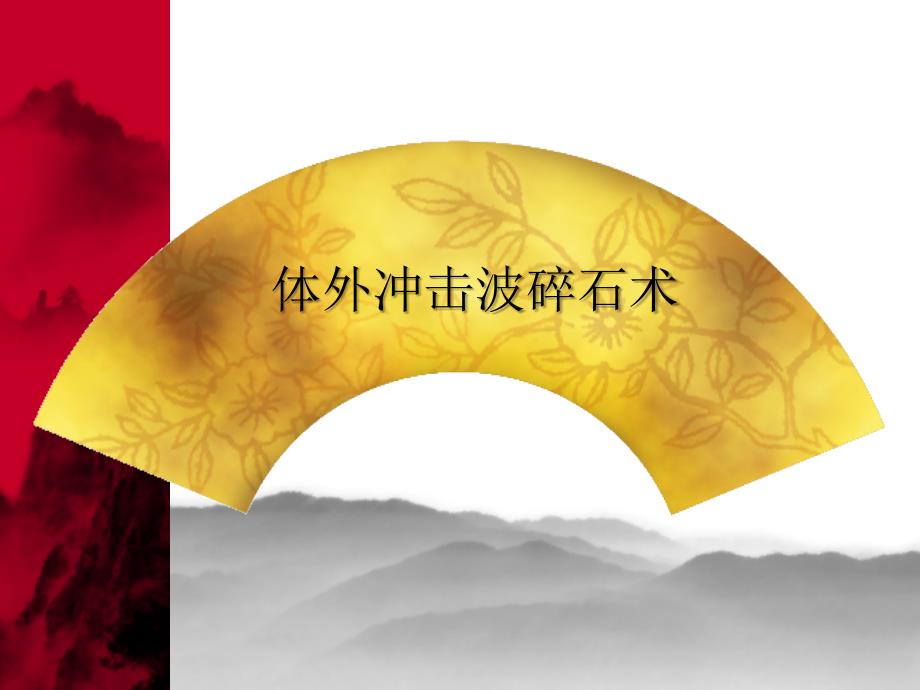 体外振波碎石_第1页