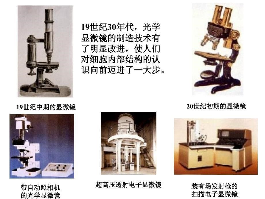 显微镜的使用_第5页