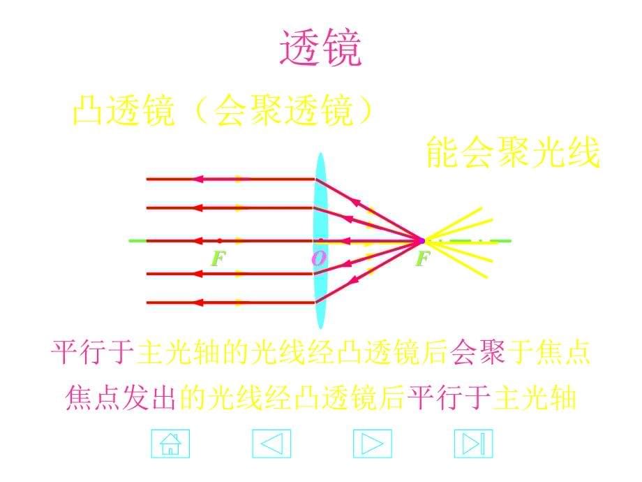 初中物理总复习光的折射_第5页