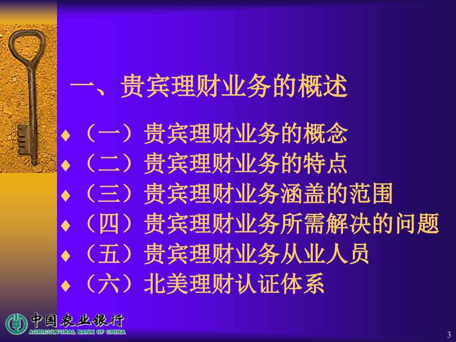 农业银行贵宾理财业务与理财中心建设_第3页