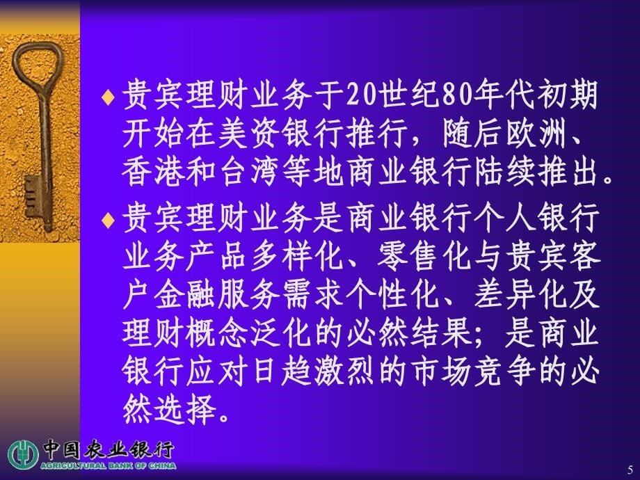 农业银行贵宾理财业务与理财中心建设_第5页