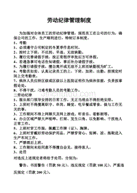 (南京学习)劳动纪律管理制度