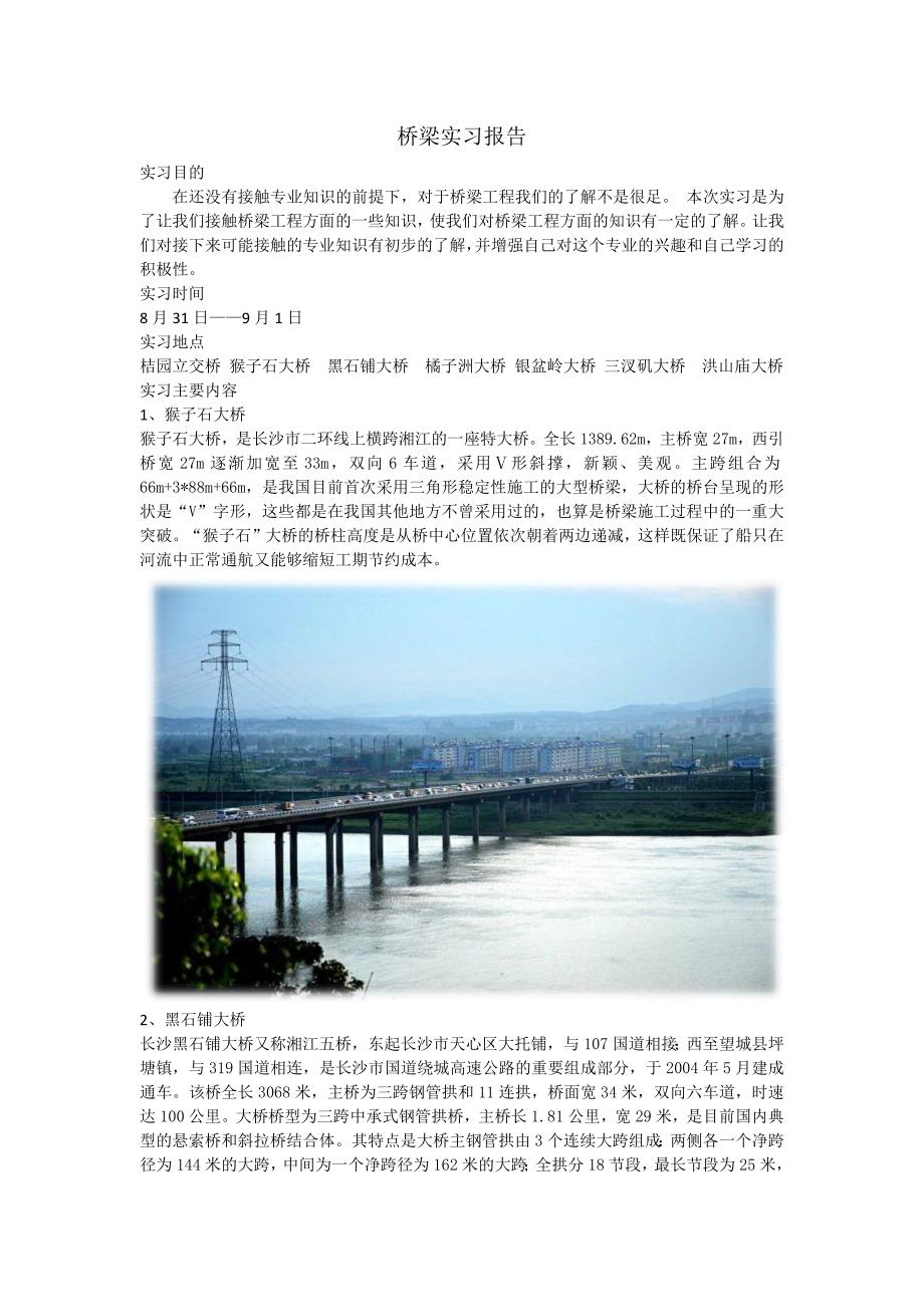 桥梁实习报告_第1页