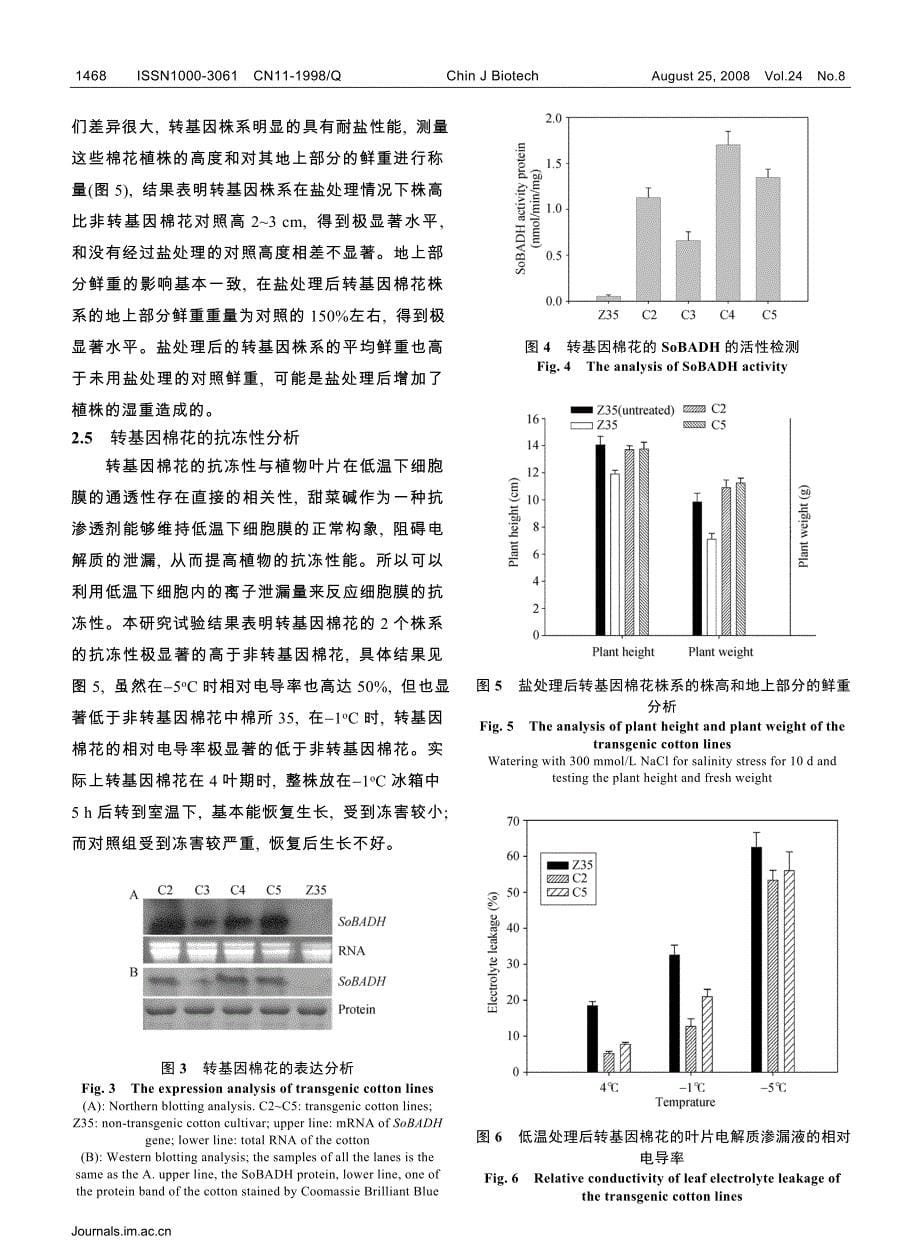 菠菜甜菜碱醛脱氢酶基因在棉花中的过量表达和抗冻耐逆性分析_第5页