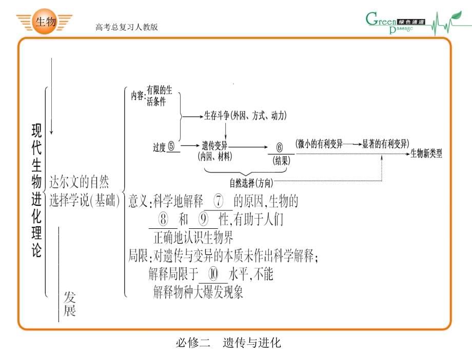 高考生物总复习课件：人教版高中生物必修二《现代生物进化理论的由来及其主要内容》专题讲解_第5页